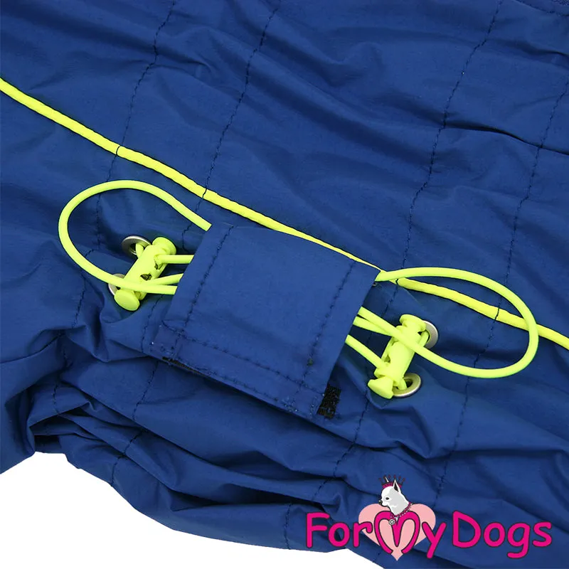 Bold Blue Winter Suit For Boys For Medium, Large Breeds & Pugs SPECIAL ORDER