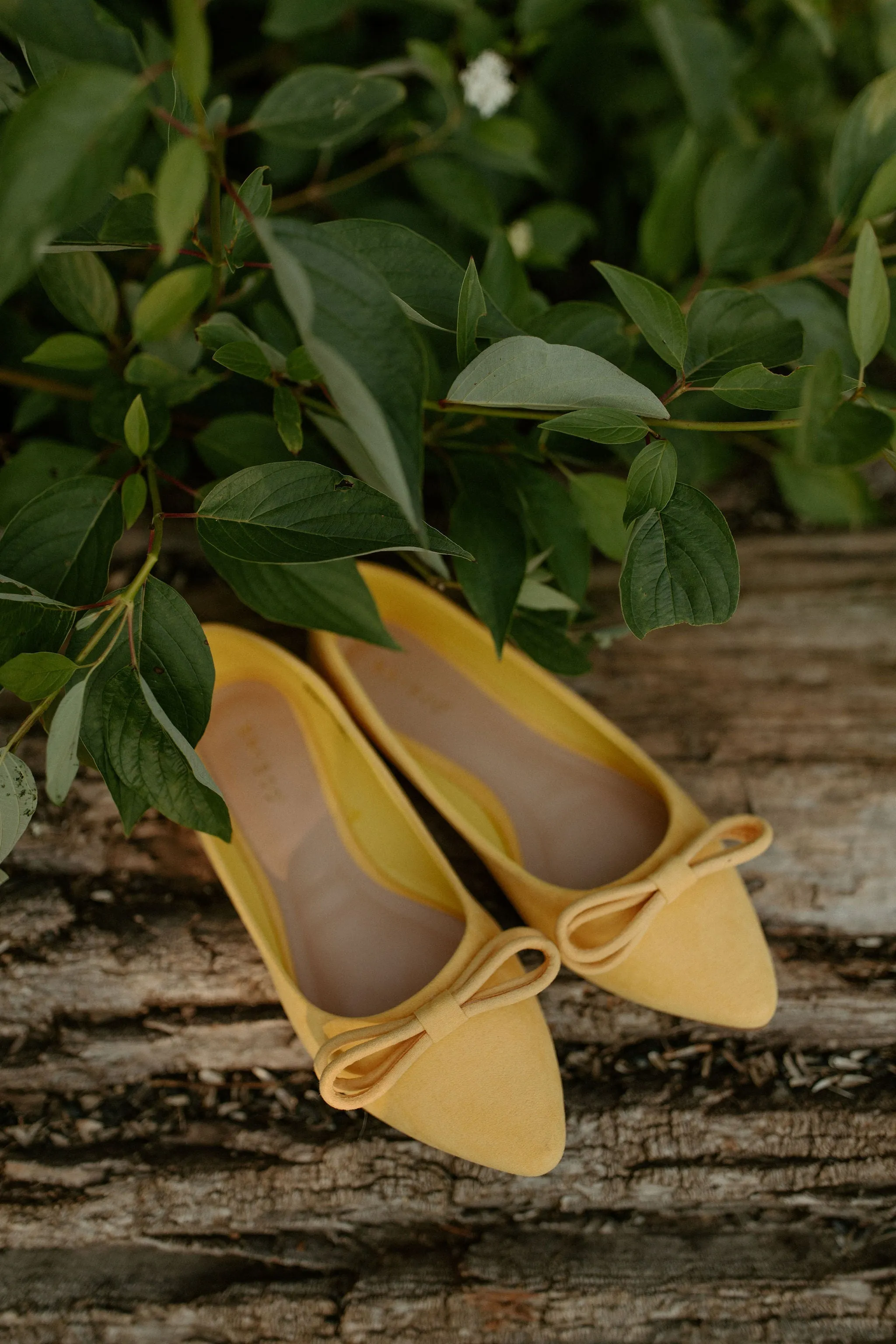 The Journal Bow Ballet Flat - Mango